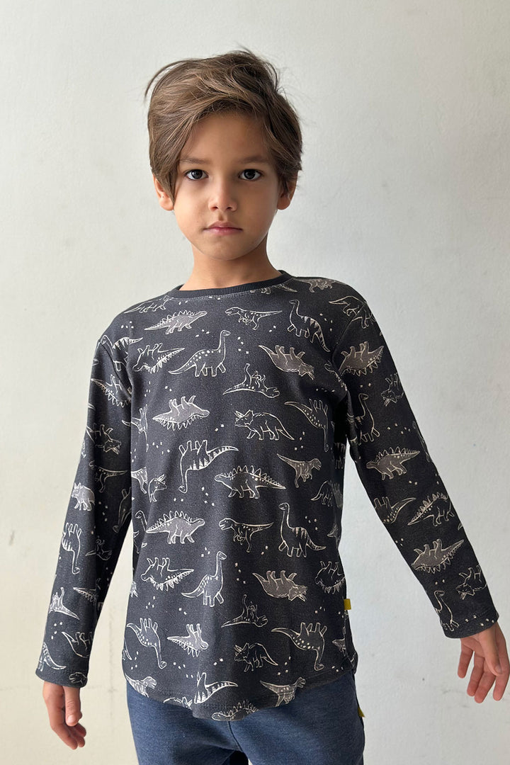 Camiseta ML Infantil Dino