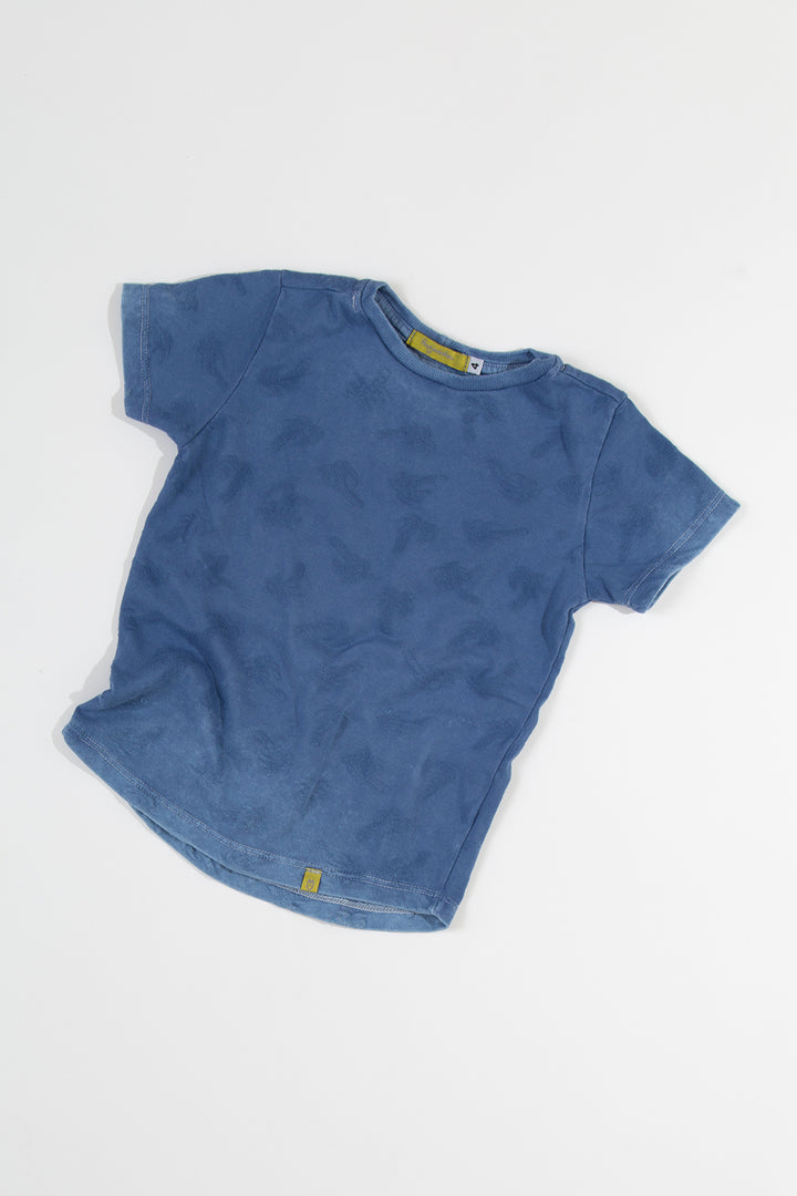 Camiseta Coqueiro Wash