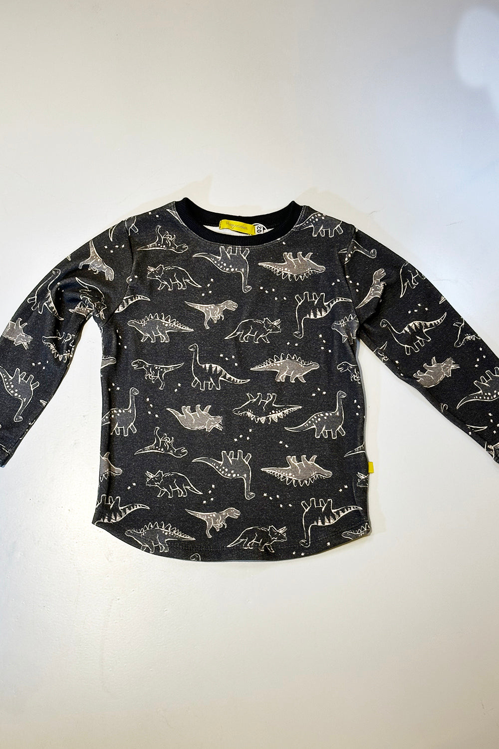 Camiseta ML Infantil Dino